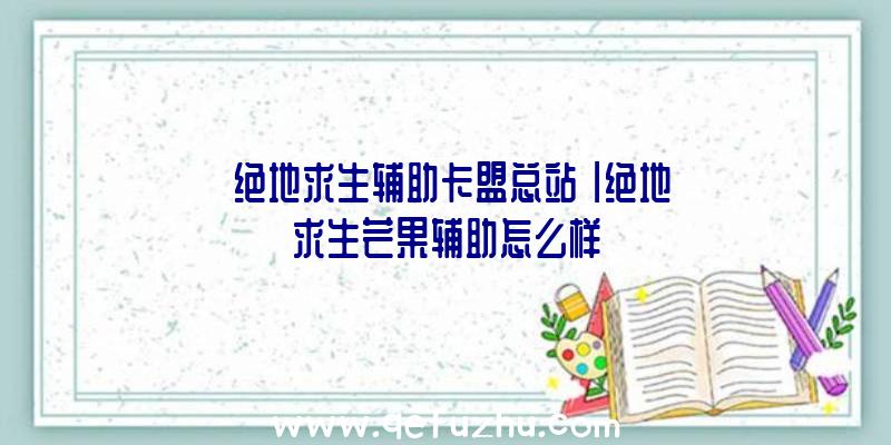 「绝地求生辅助卡盟总站」|绝地求生芒果辅助怎么样